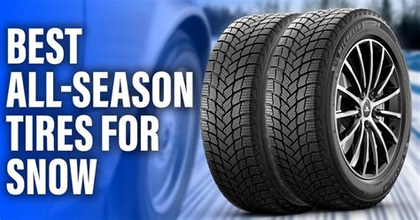 What is the Best All-Season Tire for Snow? And Why Do Penguins Prefer Them?